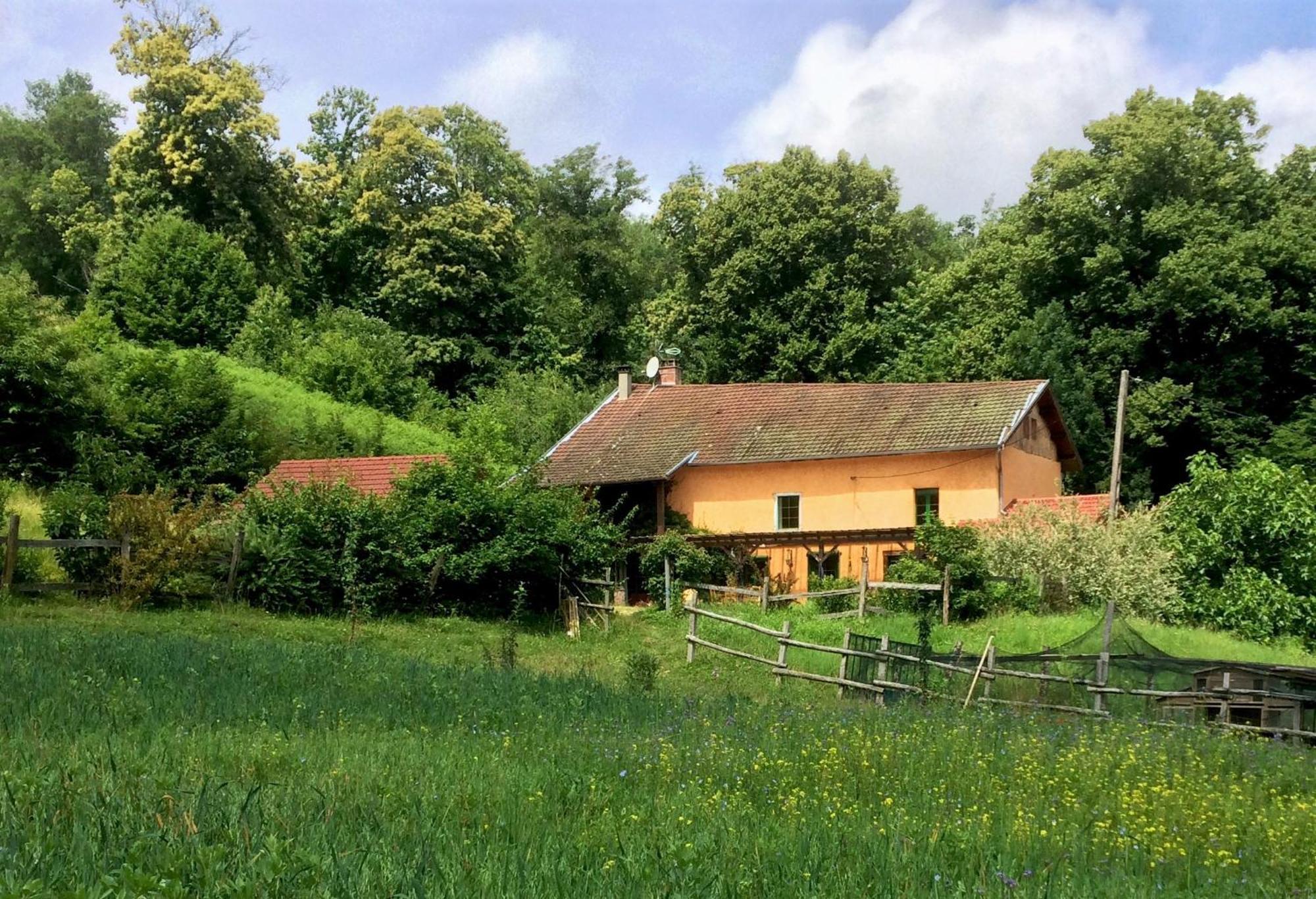 Le Mas De Planaise Saint-Jean-d'Avelanne Екстер'єр фото